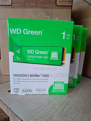 Wd 1tb Nvme M.2 2280 SSD Pcie 4.0 Gen 4 (Wd Green Sn3000