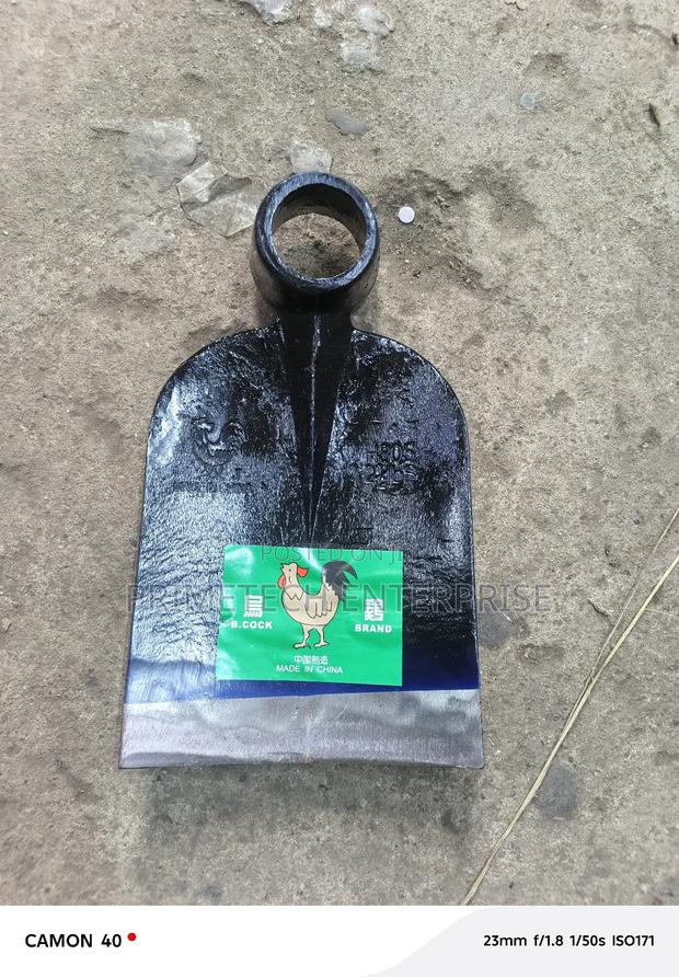 Jembe B Cork - main view