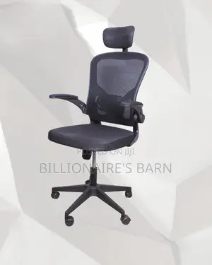 Ergonomic Adjustable High-Back Ergonomic Chair | Comfort Meets Style