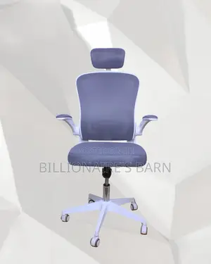 Quality White Lumbar Ergonomic Chair | Delivery Anywhere in Kenya