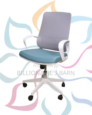 Space-Saving Support Chair Ergonomic Modern | Delivery Available