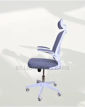 Quality Ergonomic Seller Chair Fast | Comfort Meets Style