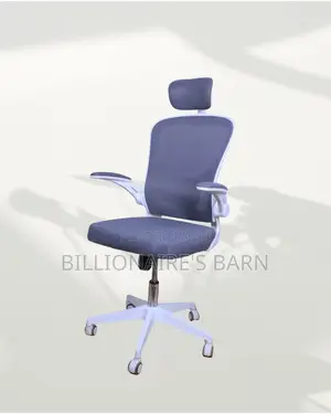 Quality Ergonomic Seller Chair Fast | Comfort Meets Style