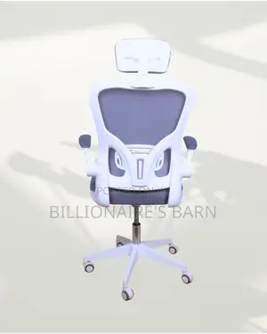 Quality Ergonomic Seller Chair Fast | Comfort Meets Style