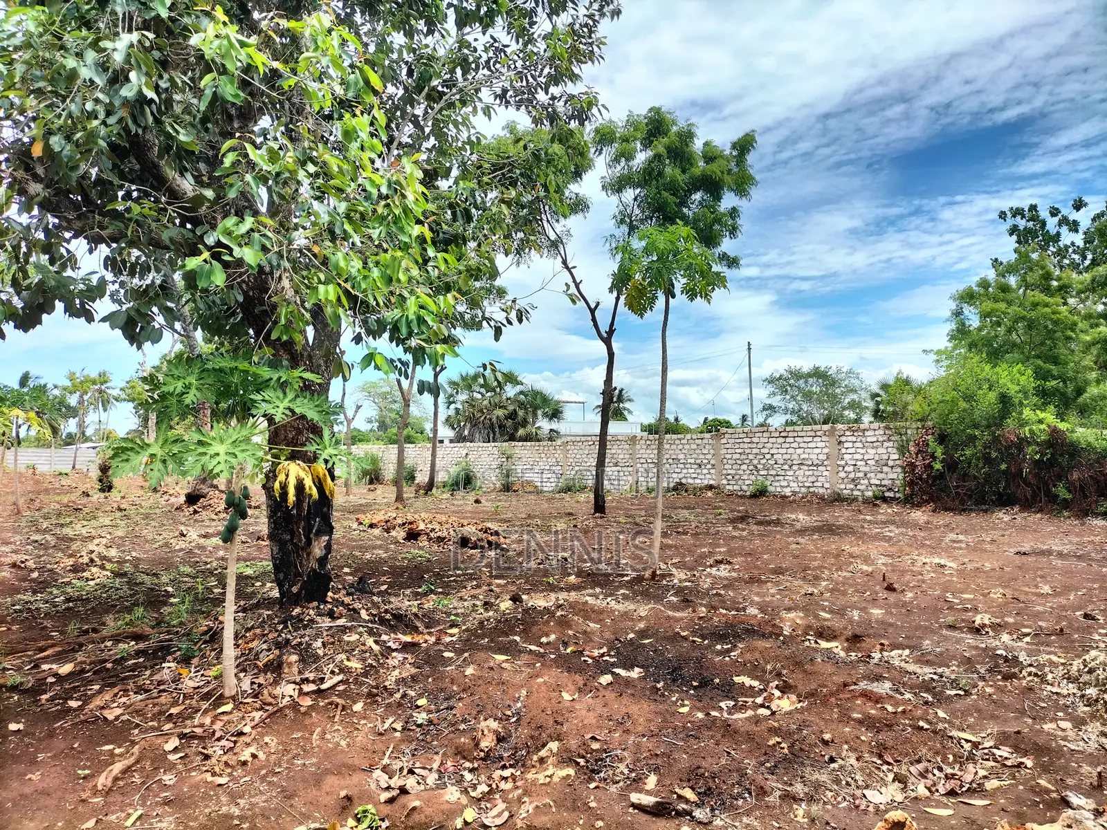 Half Acre Prime Land on Sale in Diani Galu Kinondo