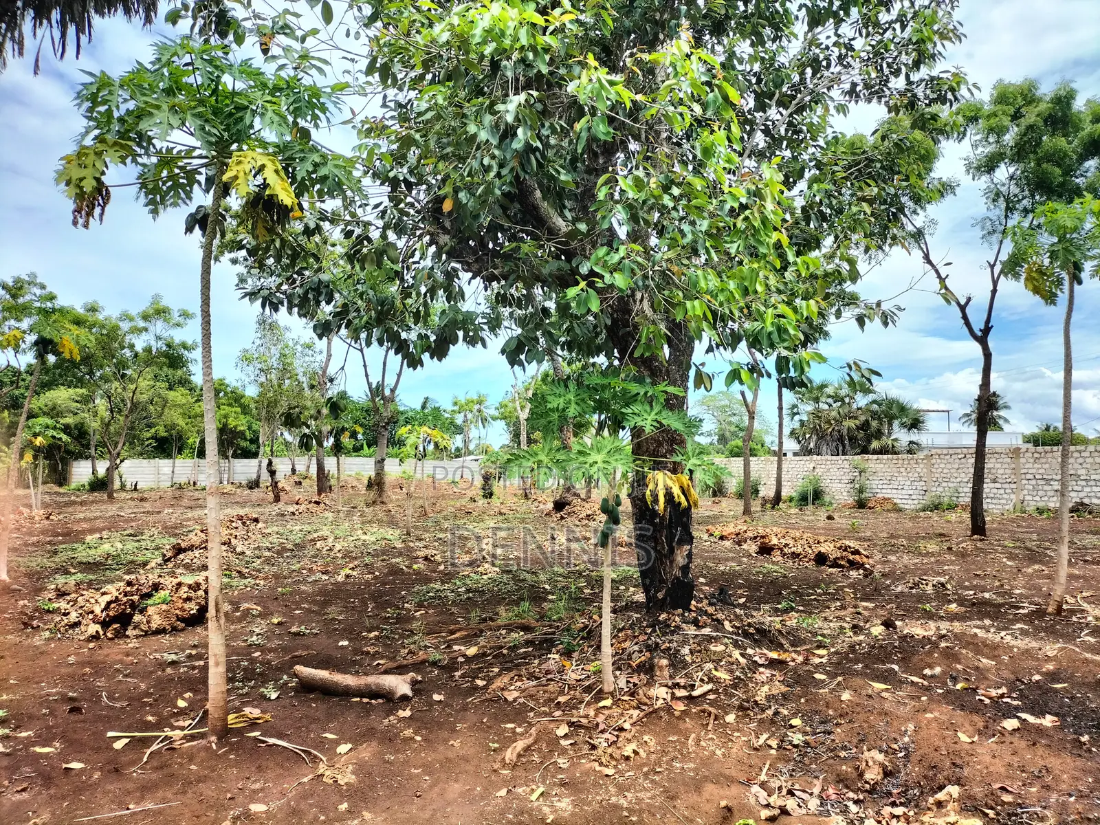 Half Acre Prime Land on Sale in Diani Galu Kinondo