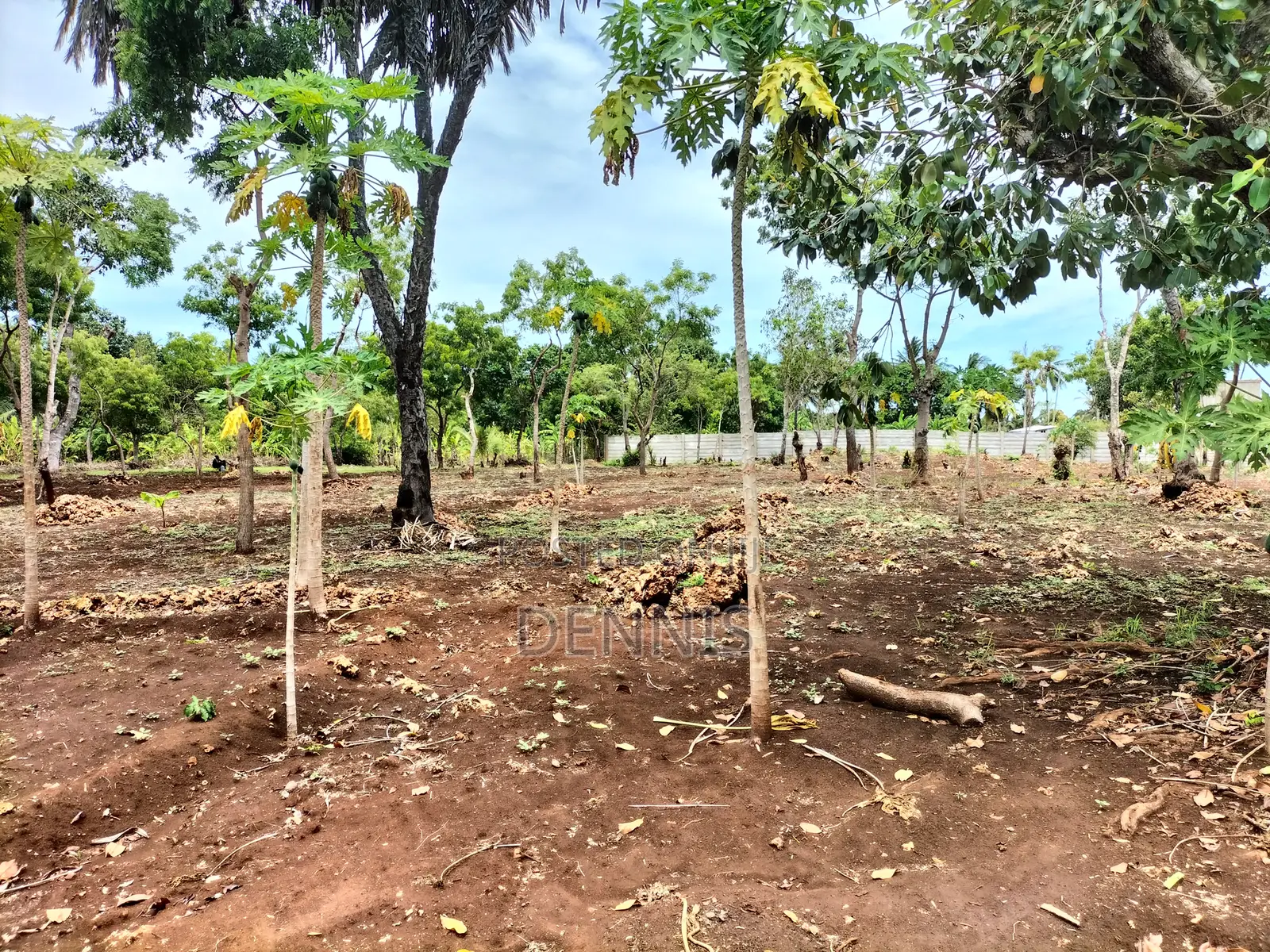 Half Acre Prime Land on Sale in Diani Galu Kinondo