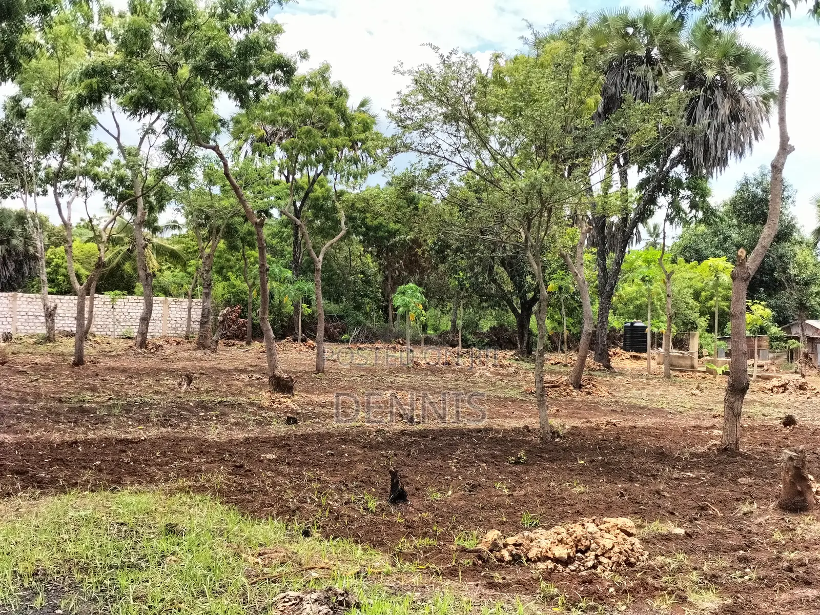 Half Acre Prime Land on Sale in Diani Galu Kinondo