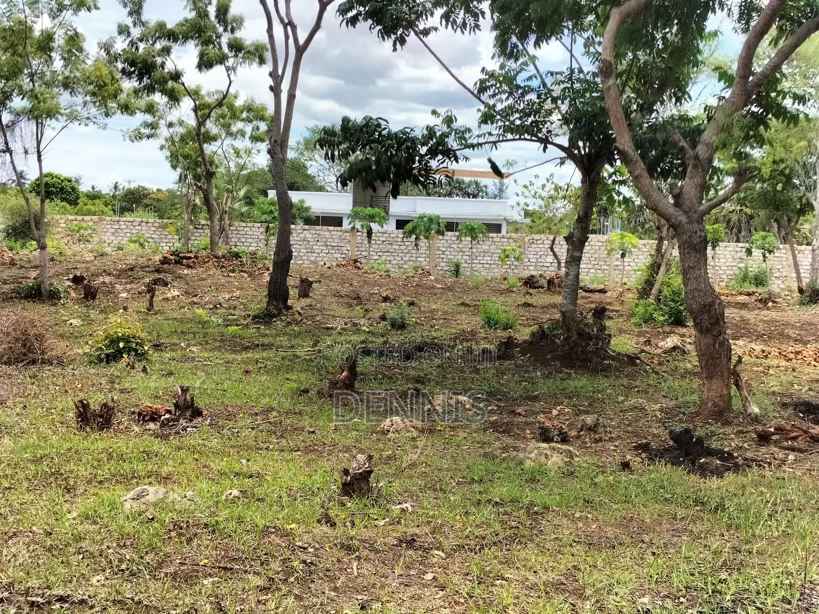 Half Acre Prime Land on Sale in Diani Galu Kinondo
