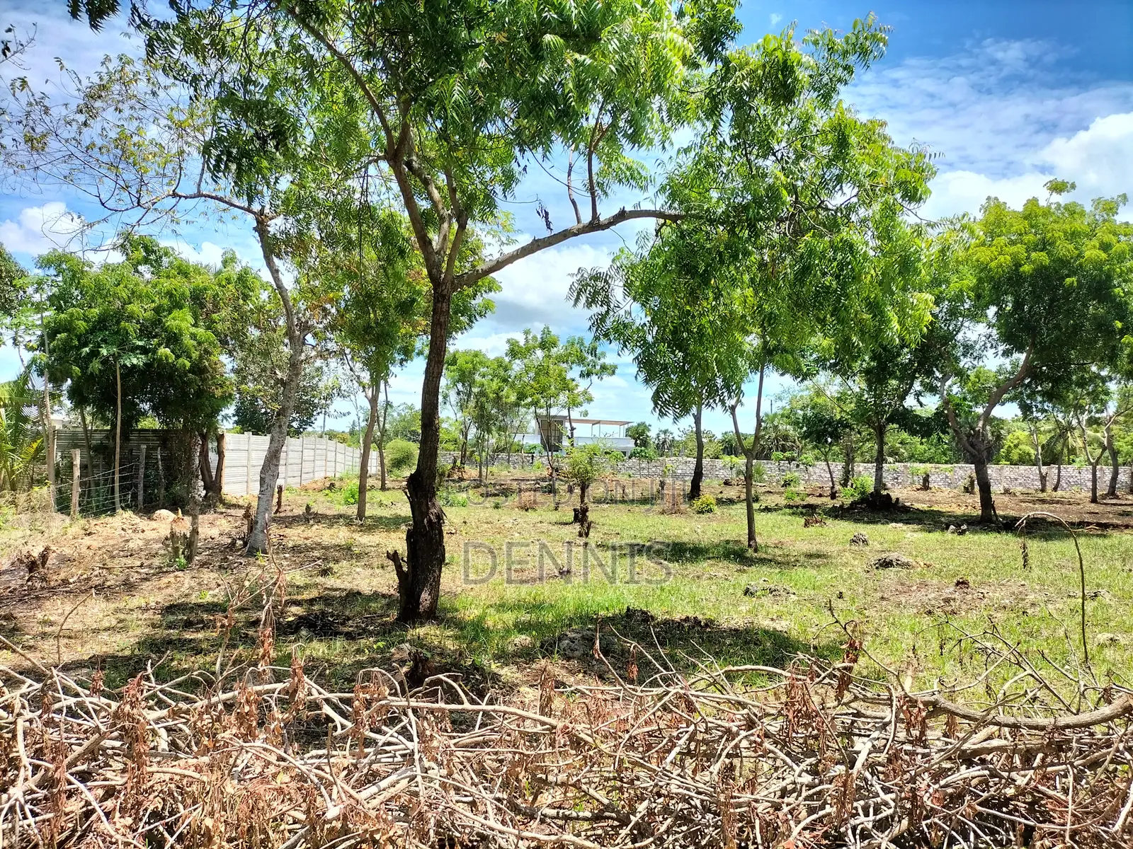 Half Acre Prime Land on Sale in Diani Galu Kinondo