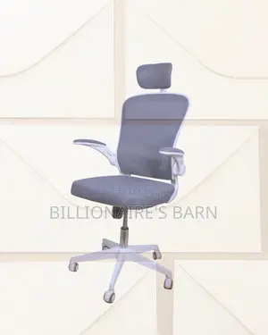 Stylish Ergonomic White — | Order Yours Today