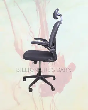 Space-Saving | Armrests Ergonomic Chair | Order Yours Today