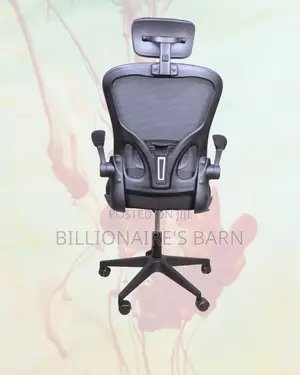 Space-Saving | Armrests Ergonomic Chair | Order Yours Today