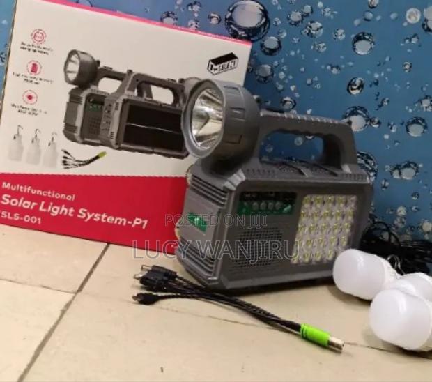 Solar Lighting System P1 - main view