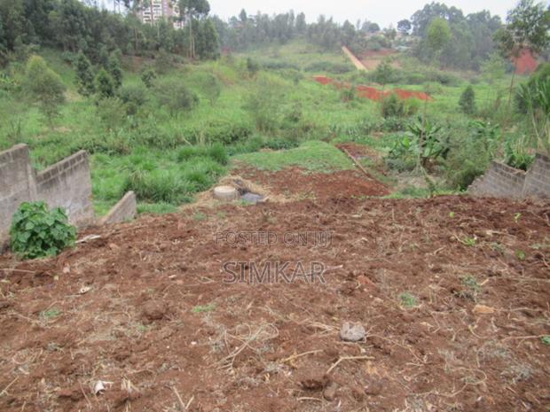 0.375-Acre Plot for Sale in Ruaka - thumbnail 7