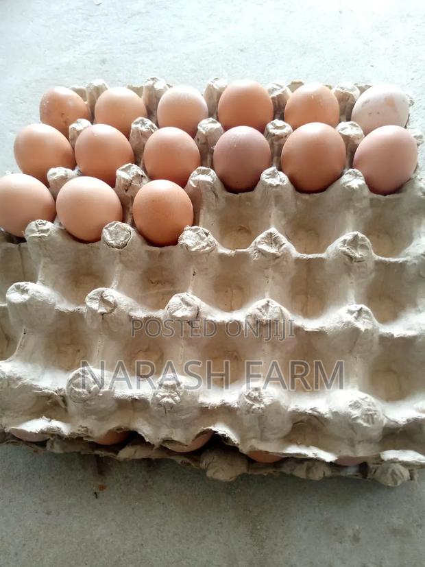 Fresh Farm Eggs - main view