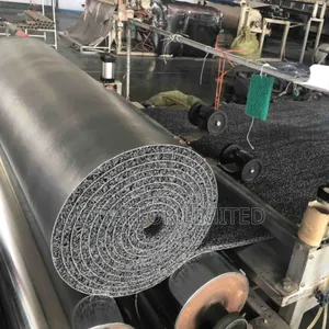 Premium PVC Coil Mat for Home Office Entrances 