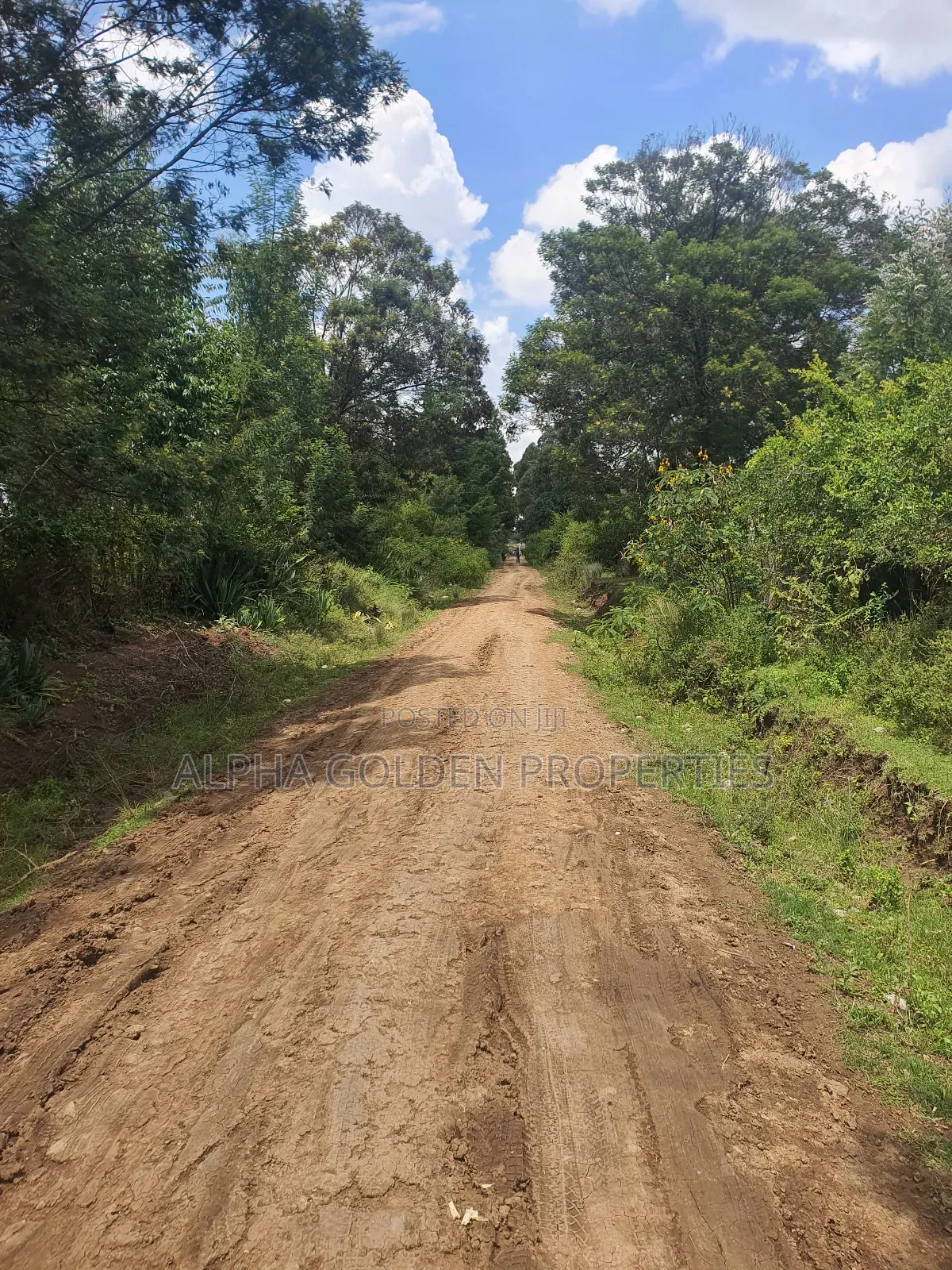 1 Acre in Nanyuki [ Kwahuku ]
