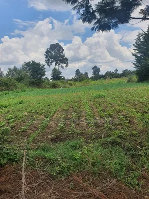 1 Acre in Nanyuki [ Kwahuku ]