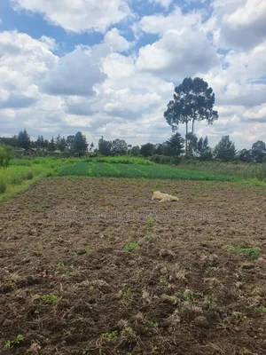 1 Acre in Nanyuki [ Kwahuku ]