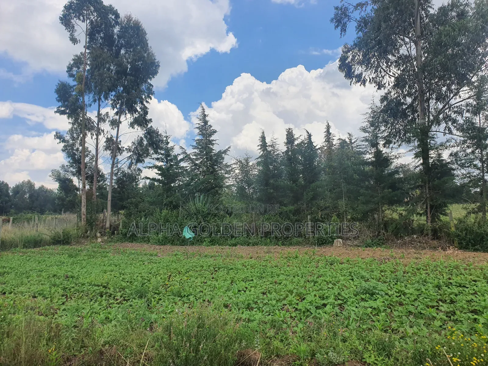 1 Acre in Nanyuki [ Kwahuku ]