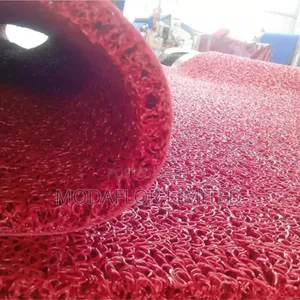 Anti-Dust Anti-Mud PVC Coil Mat – Best for Rainy Season