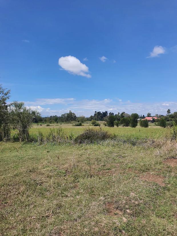 2 Acres Fronting River [ Nanyuki ] - thumbnail 4