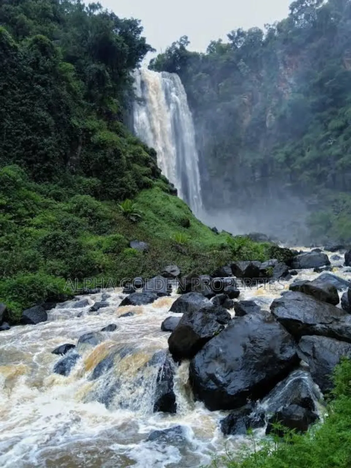 15.6 Acres in Ngobit [ Near Nairutia Town ]