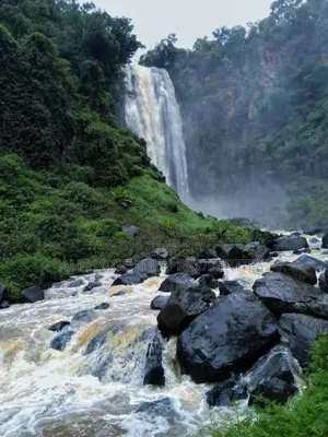 15.6 Acres in Ngobit [ Near Nairutia Town ]