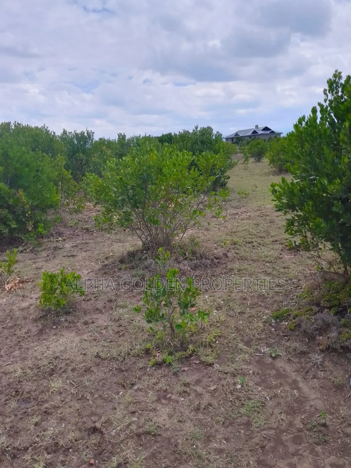 15.6 Acres in Ngobit [ Near Nairutia Town ]