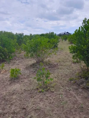 15.6 Acres in Ngobit [ Near Nairutia Town ]
