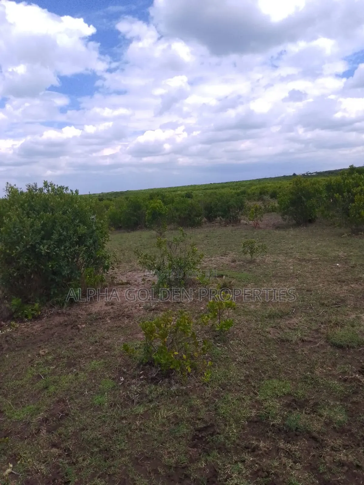 15.6 Acres in Ngobit [ Near Nairutia Town ]