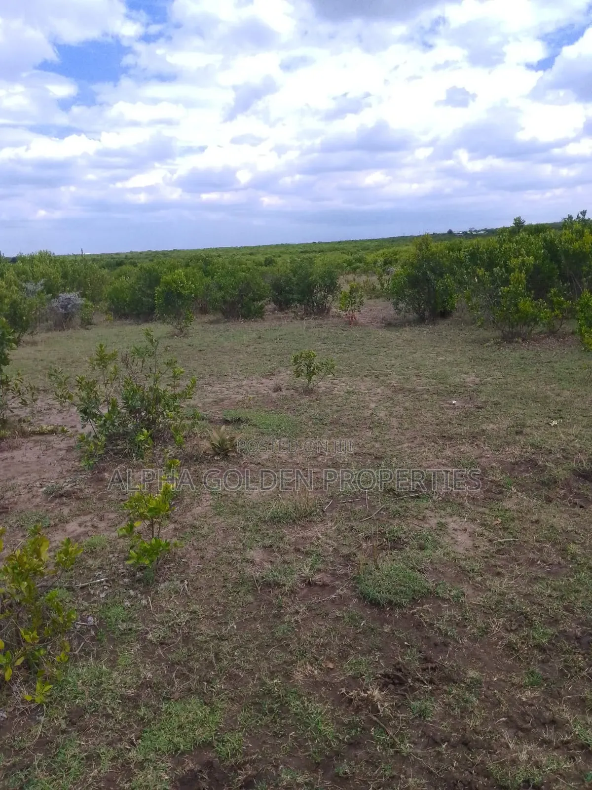 15.6 Acres in Ngobit [ Near Nairutia Town ]