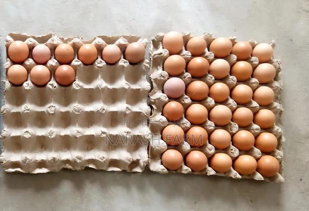 Fresh Farm Eggs - thumbnail 3