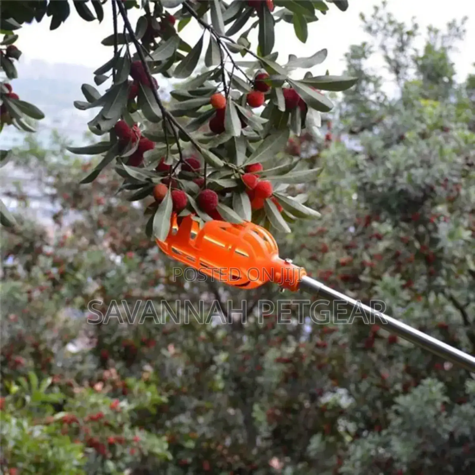 Plastic Fruit Harvester to Pick Fruits Without Climbing a Ladder