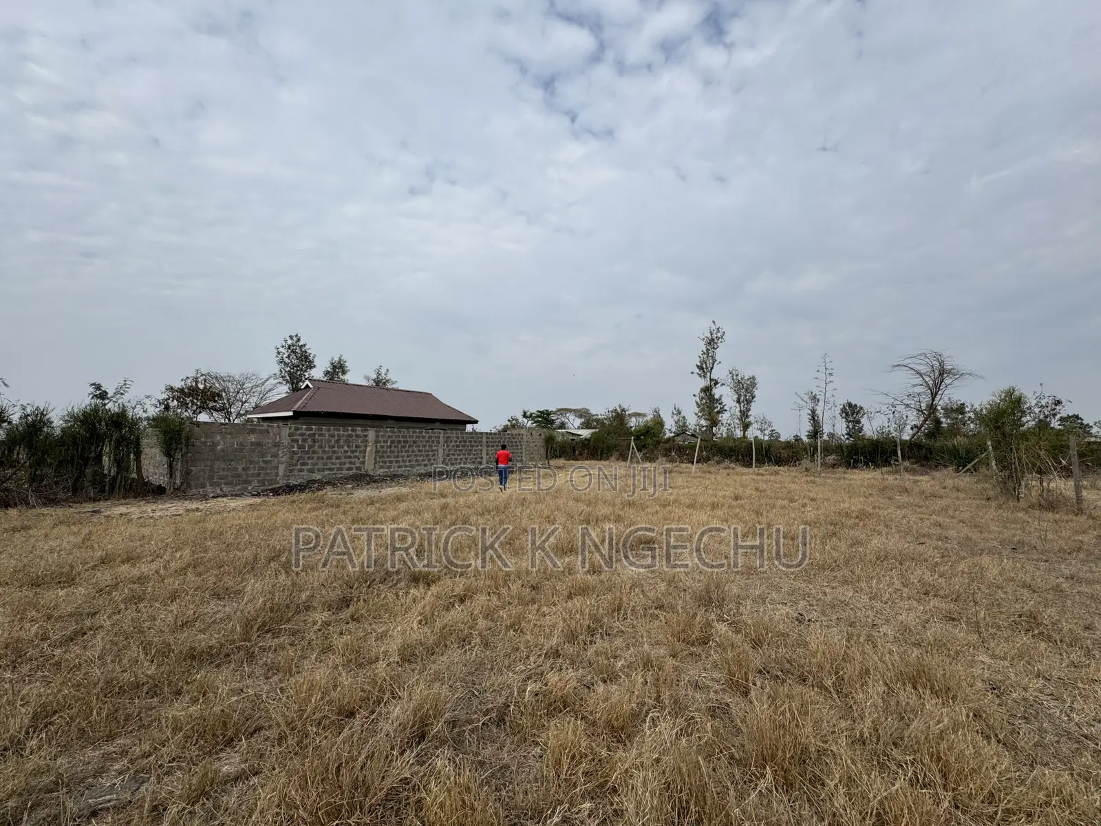 Juja Plots on Sale