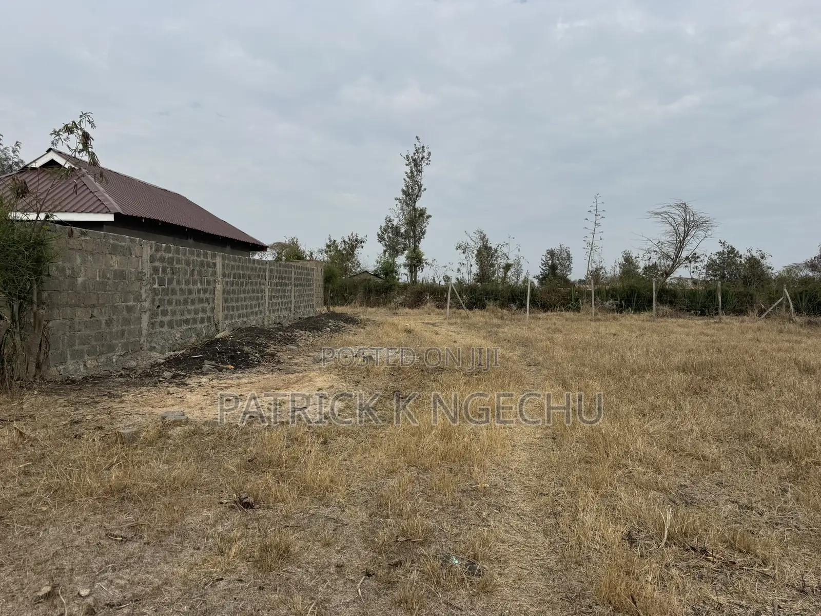Juja Plots on Sale