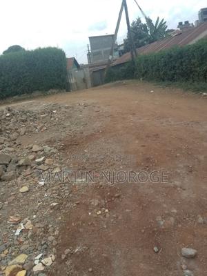 1 Acre Pangani - thumbnail 2