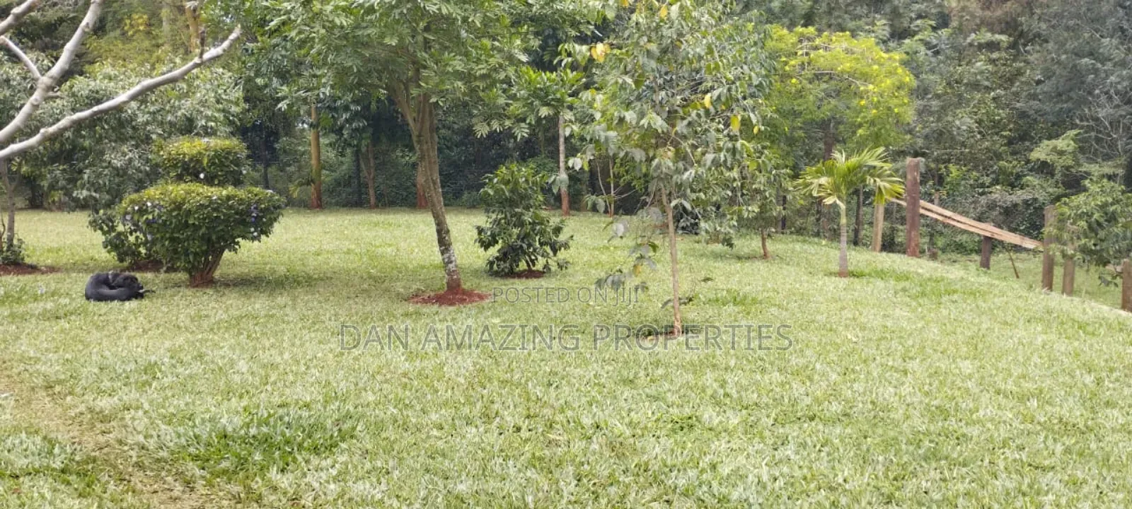 5bdrm Maisonette in Nandi Rd Plus Dsq, Karen for rent