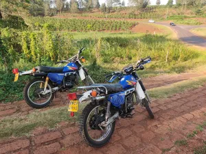 Suzuki 2006 Blue