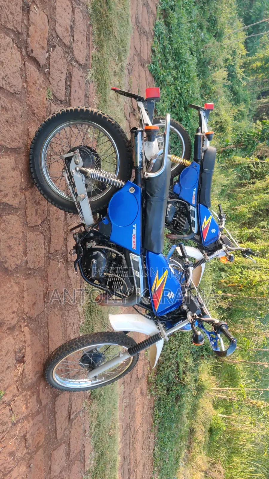 Suzuki 2006 Blue