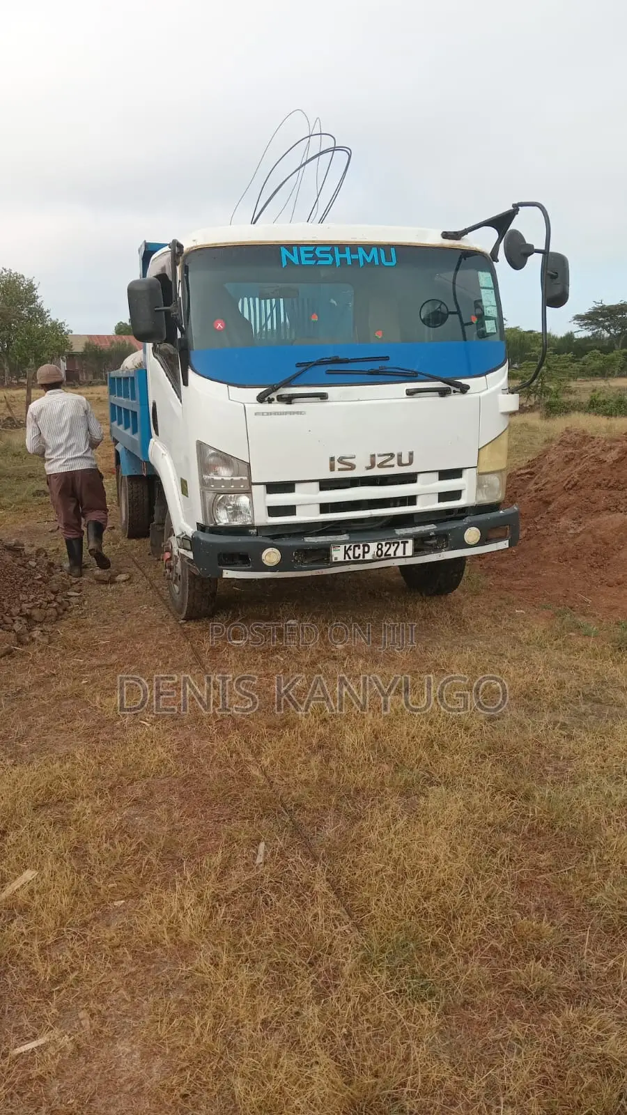 Isuzu Forward Mint Condition