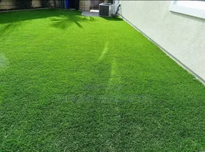 Realistic Turf Carpet Lush and Durable