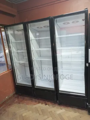 Well Maintained ( 650l Chiller) Good Working Condition