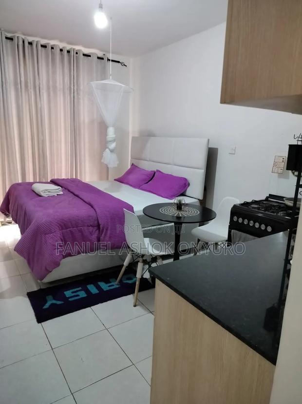 BNB Studio Kisumu - thumbnail 7