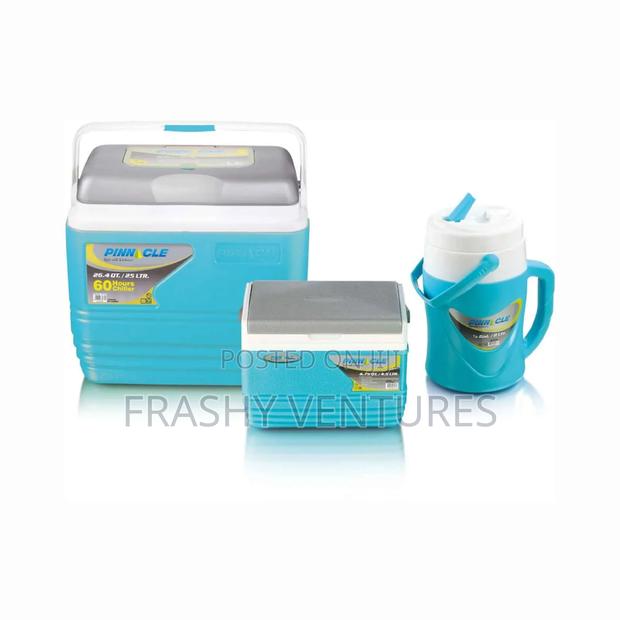 Pinnacle Cooler Box 4.5l