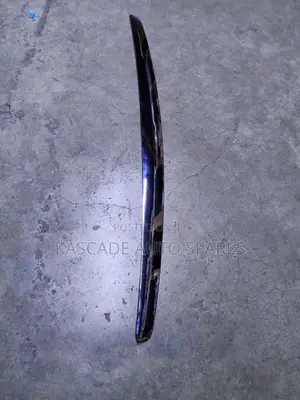 Nissan Sylphy Blueband 2007-2013 Bonnet Chrome