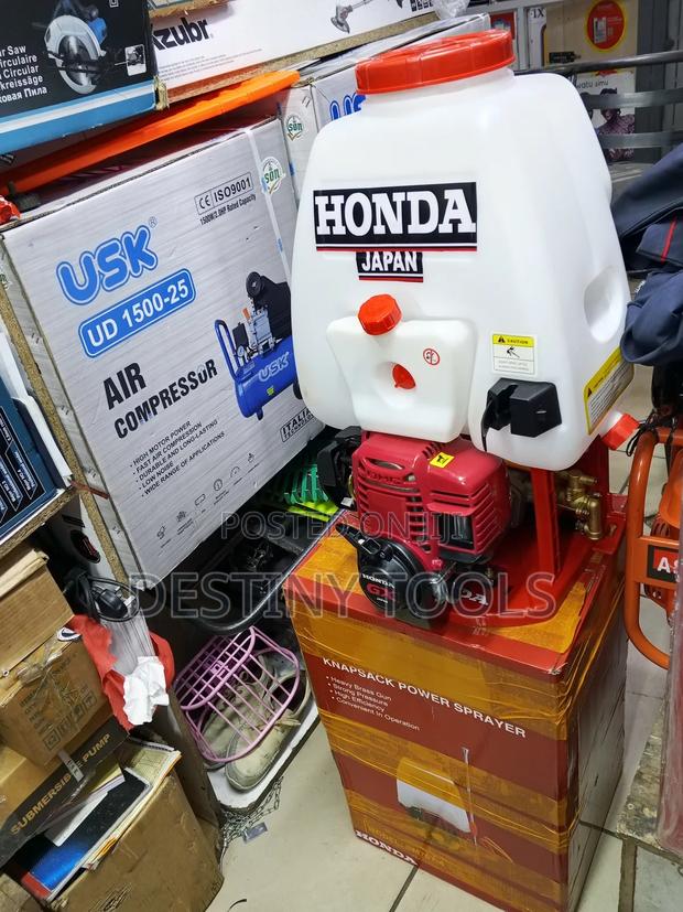 Engine Knapsack Sprayer/Knapsack Sprayer