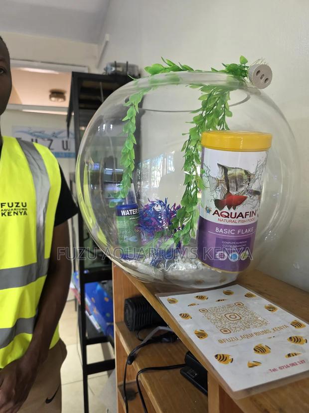 Very Large Fishbowl - main view