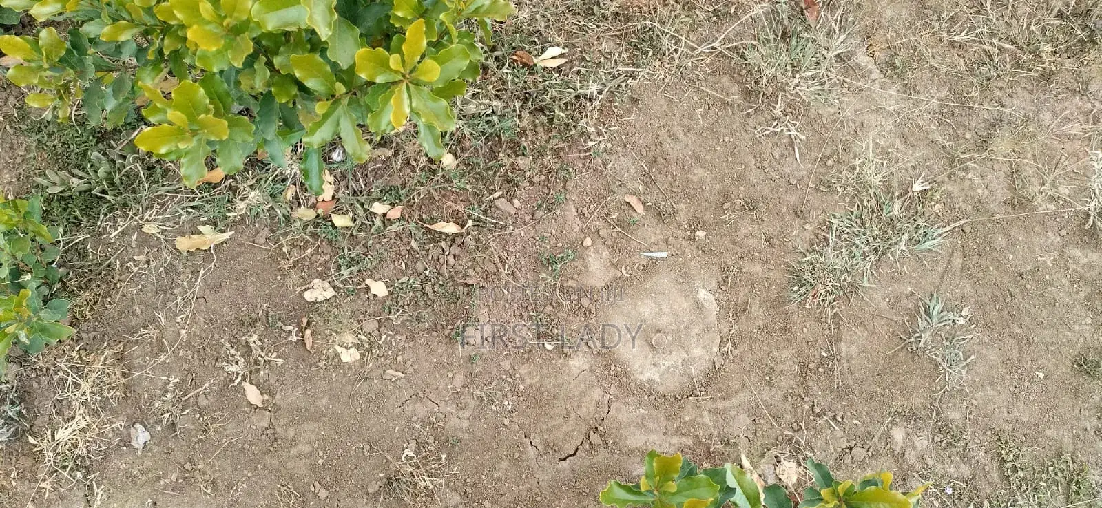 0.8acre Land for Sale in Nanyuki Nturukuma